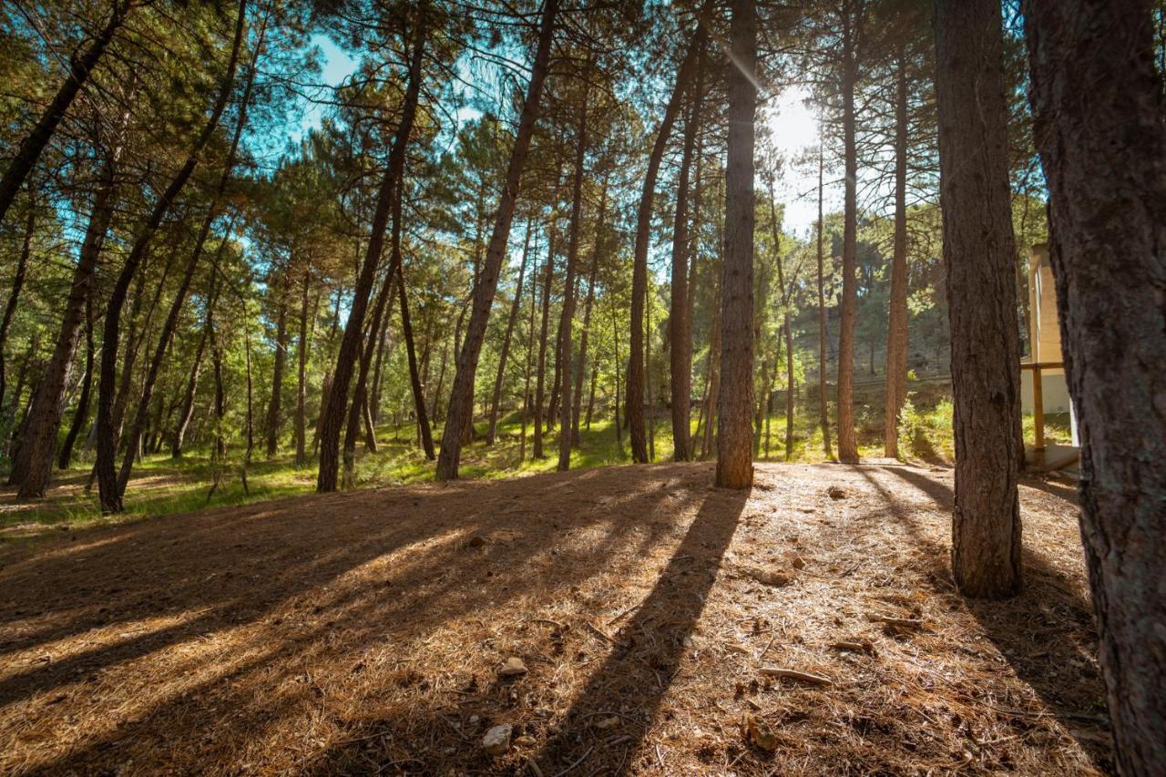 Отель Kampaoh Cazorla Casa El Valle Экстерьер фото